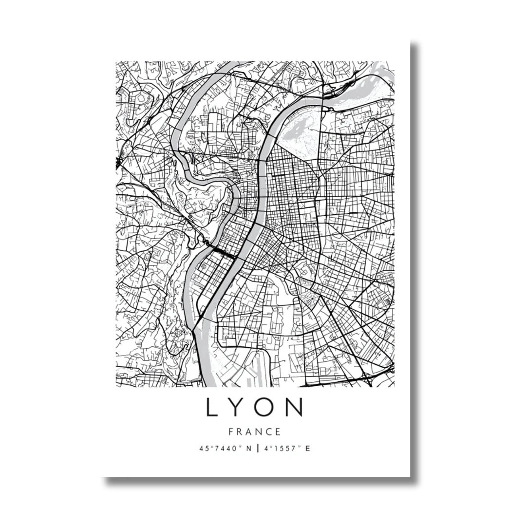 Affiche Lyon | Carte Rhodanienne | Pigmentacy