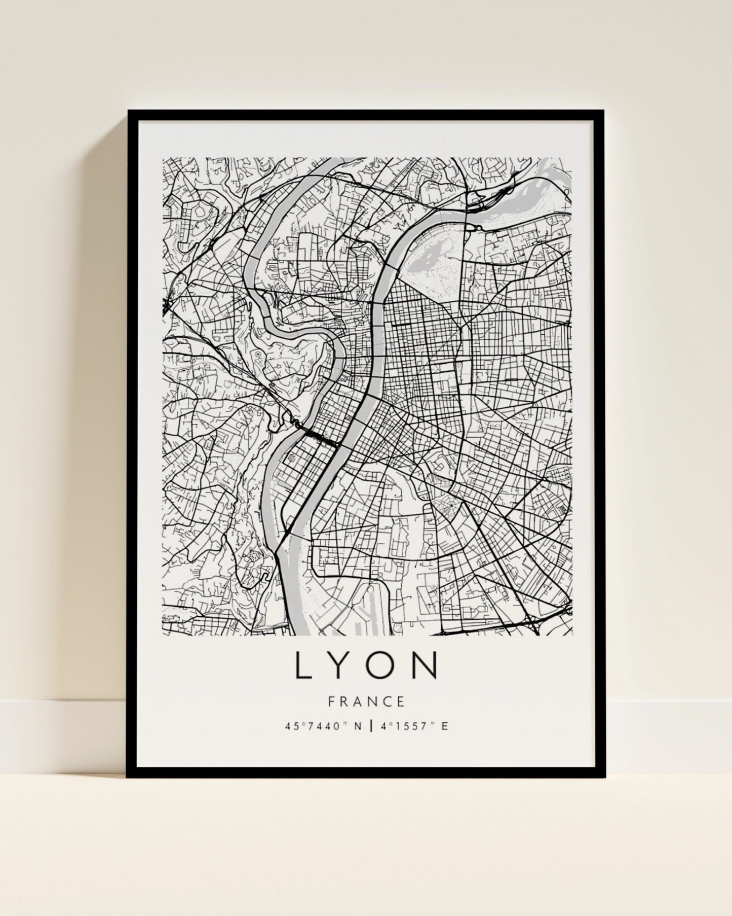 Affiche Lyon | Carte Rhodanienne | Pigmentacy