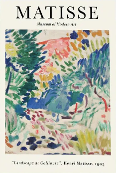 MATISSE Pigmentacy