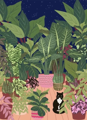 Boho Art Black Cat Tropical Plant Poster, Canvas Painting, Cute Animal Nordic Wall Picture for Modern Living Room, Home Decor Pigmentacy